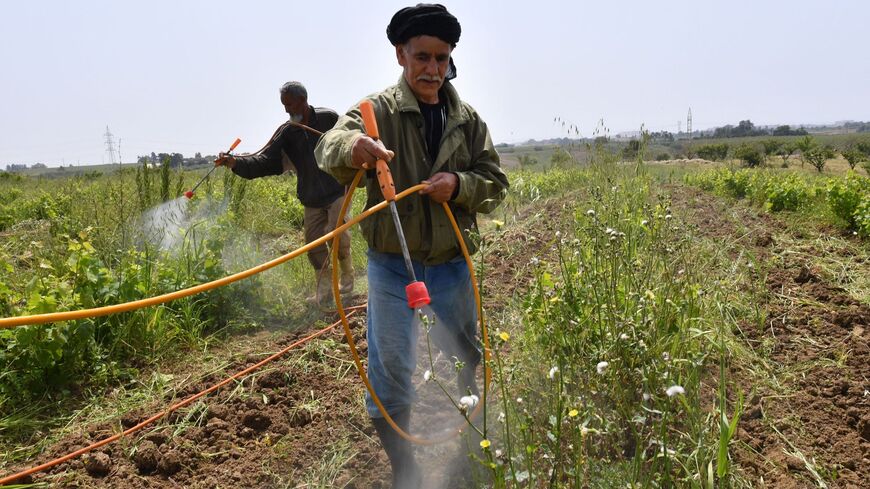 Farmers spray grapevines at a vineyard in Souidania town, 15 Km west of the Algerian capital, on May 16, 2022. (Photo by RYAD KRAMDI / AFP) (Photo by RYAD KRAMDI/AFP via Getty Images)